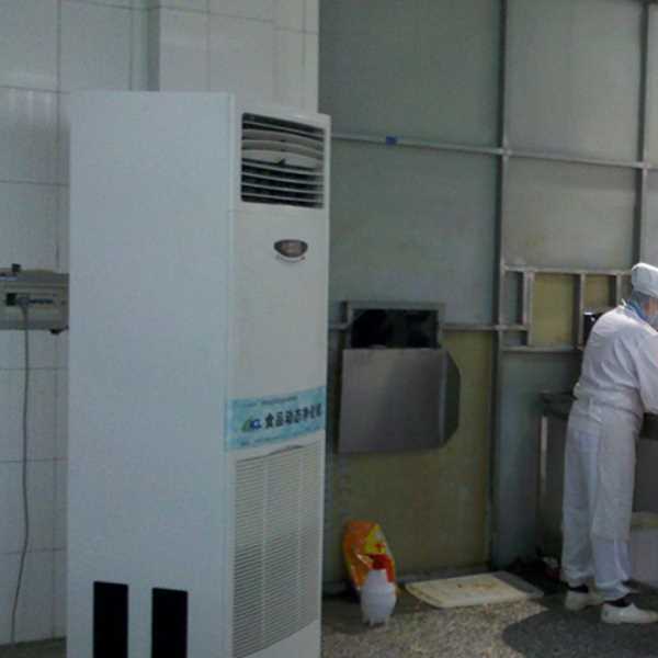 吉安食品正负离子空气杀菌器